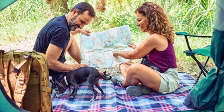 The Complete Guide to Achieving Financial Independence and Retiring Early (FIRE)