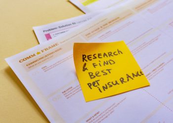 The Different Types of Life Insurance and How to Choose the Right Policy for You