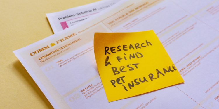 The Different Types of Life Insurance and How to Choose the Right Policy for You