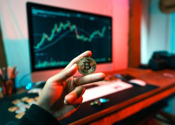 Weighing the Risks and Rewards: Investing in Cryptocurrencies