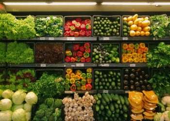 Smart Strategies to Cut Down Your Grocery Bill and Everyday Expenses