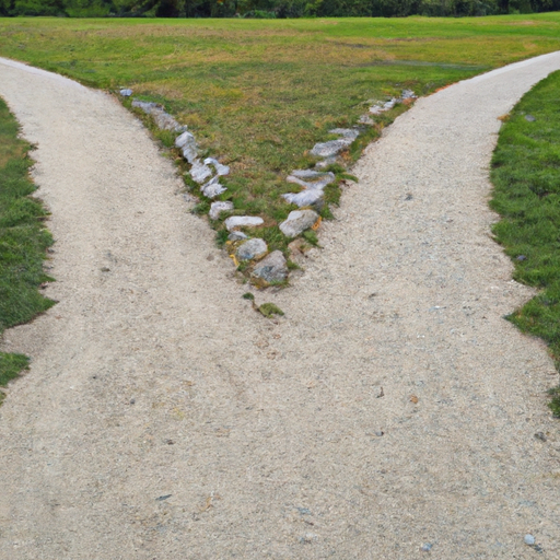 photo of a path with two forks