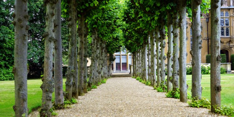 The Complete Guide To Wills & Estate Planning