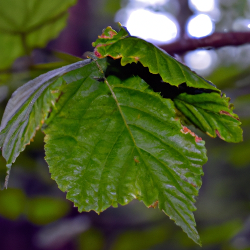 A closeup of a green leaf on a branch in the style of a Norman Rockwell Painting