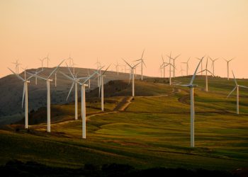 The Future of Renewable Energy Stocks