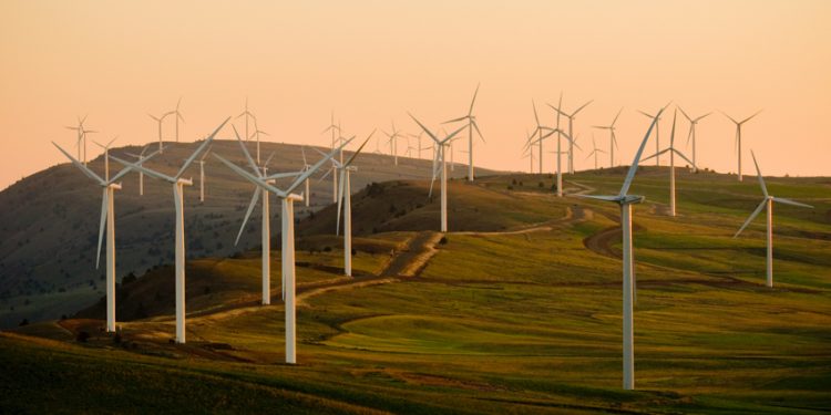 The Future of Renewable Energy Stocks