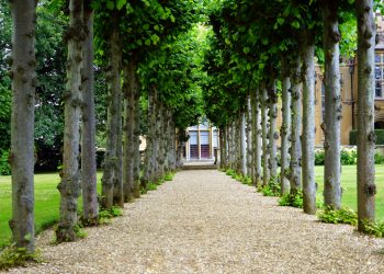 The Essential Guide To Regularly Reviewing And Updating Your Estate Plan