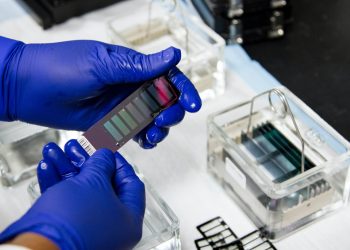 Exploring The Potential Of Investing In Biotechnology Stocks