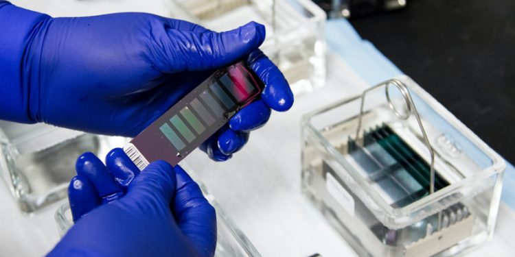 Exploring The Potential Of Investing In Biotechnology Stocks