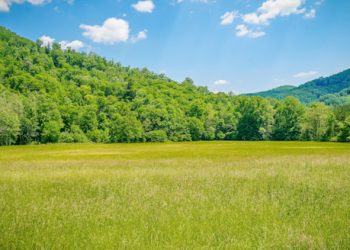 Understanding Green Bonds