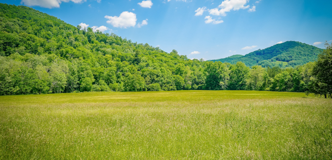 Understanding Green Bonds