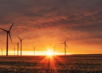 Exploring Sustainable Investing