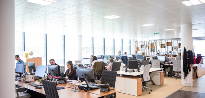 How To Incorporate Financial Literacy Into Employee Wellness Programs